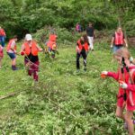 Girl scouts removing honeysuckle