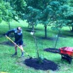 sprucing up memorial grove
