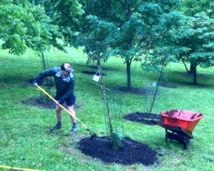 sprucing up memorial grove