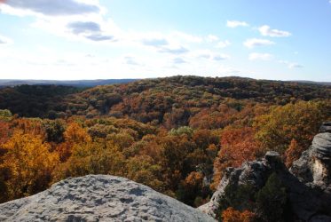 shawnee national forest