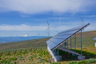 solar panels and windmills