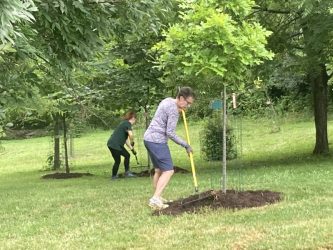 Volunteers help spruce up the memorial Grove at French Park on July 13.